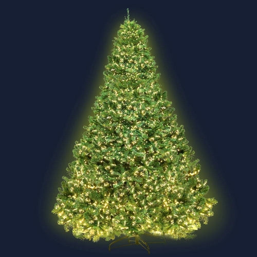 Jingle Jollys Christmas Tree 2.4M Xmas Tree Decorations 3190 LEDs 8